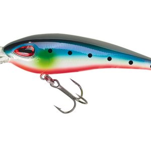 FILEX LURES LIZARD 8062