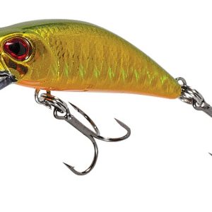 FILEX LURES RAPID 5542