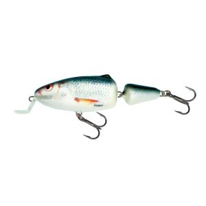 SALMO FRISKY 7SR - REAL DACE