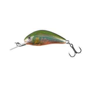 SALMO HORNET 2S - HOLOGRAPHIC OIKAWA