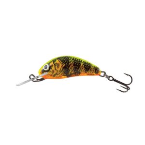 SALMO HORNET 3F - GOLD FLUO PERCH